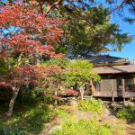 旧松本剛吉別邸の庭
